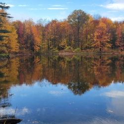 Pond at Wolf Tree with fall foliage