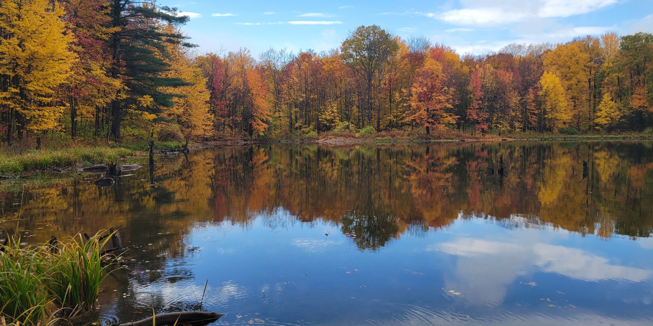 Pond at Wolf Tree with fall foliage