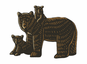 Illustration of a bear and two cubs