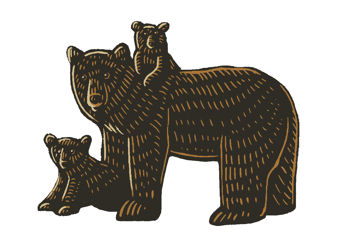 Illustration of a bear and two cubs