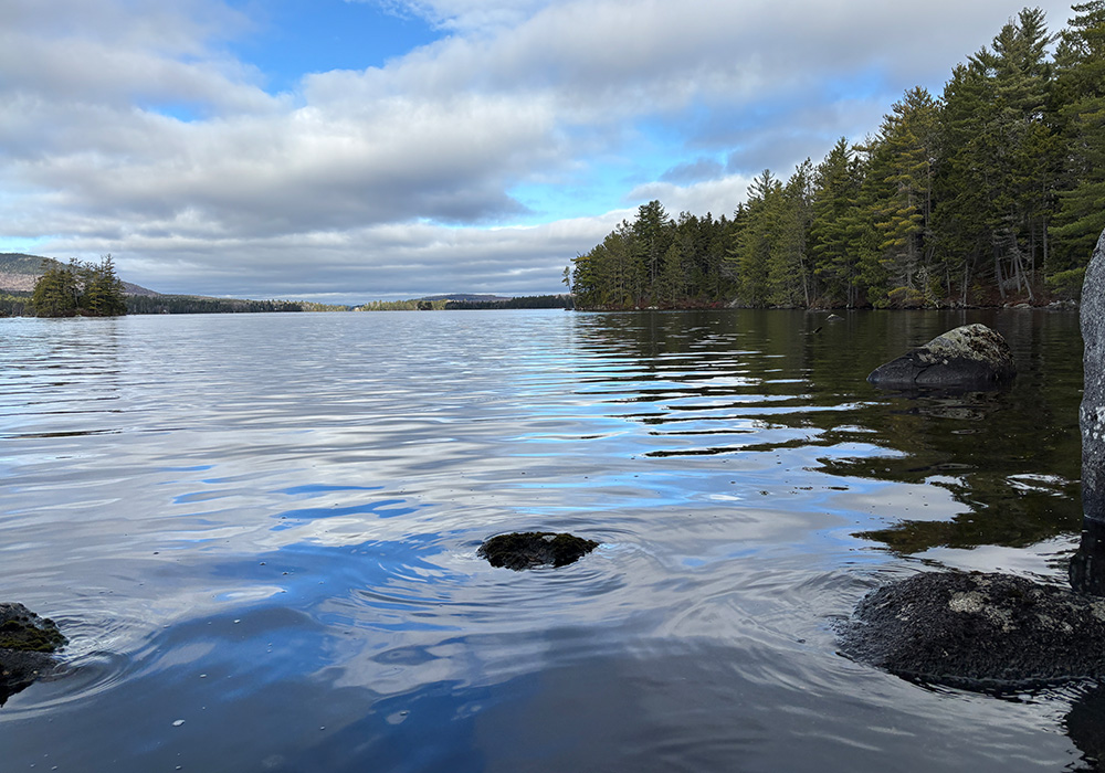 Landscape looking over the shore of Moxie Pond