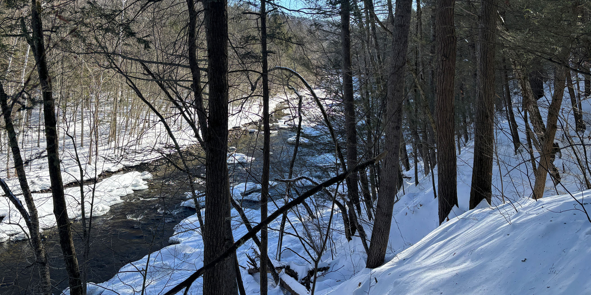 Rivers Edge - River Banner