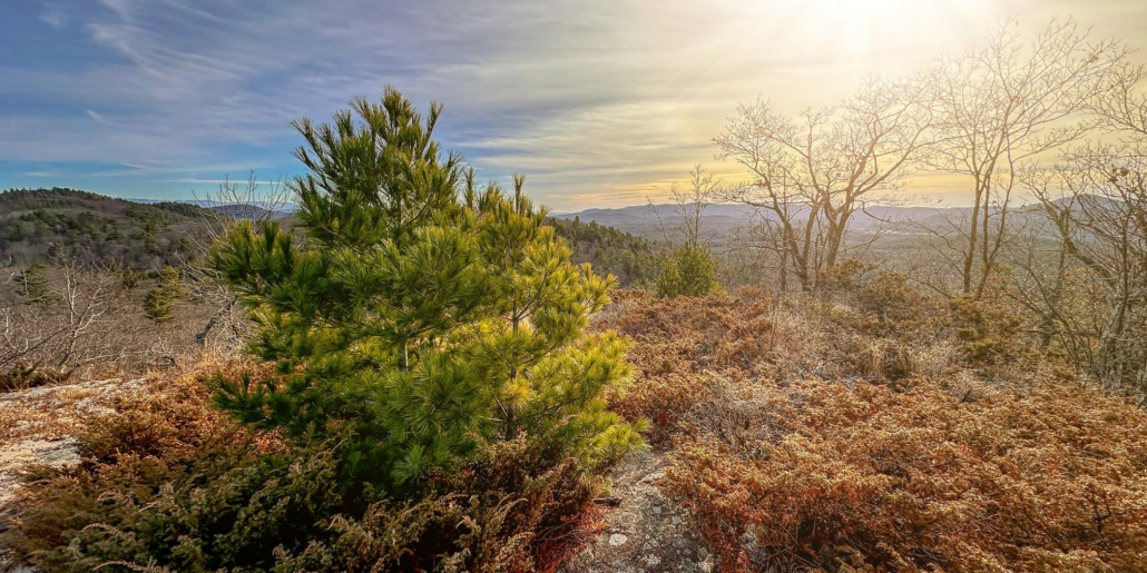 The Wildlands Partnership Comes to Eastern New York