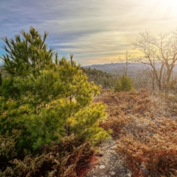Landscape photo of Twin Valleys in New York.
