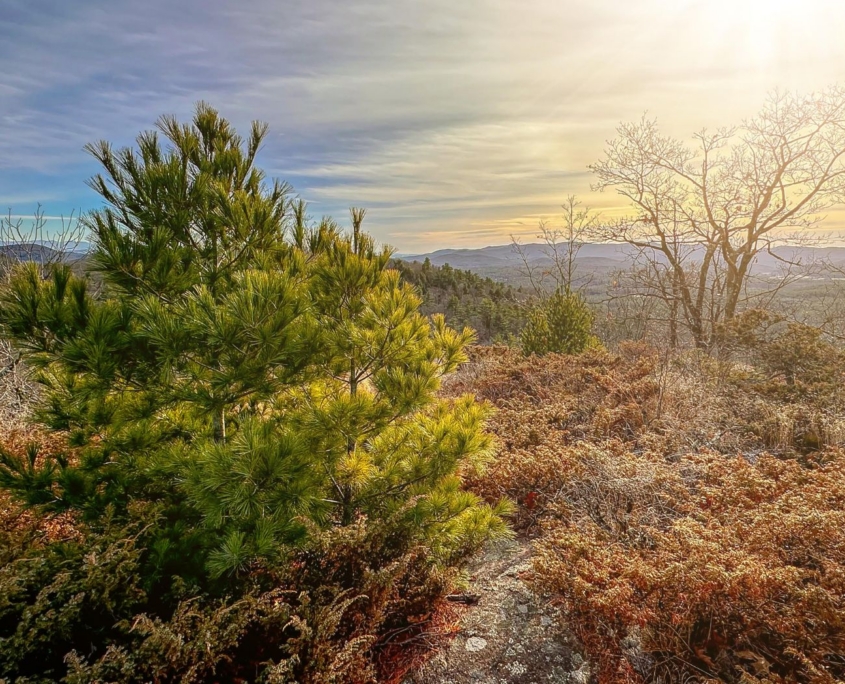 The Wildlands Partnership Comes to Eastern New York