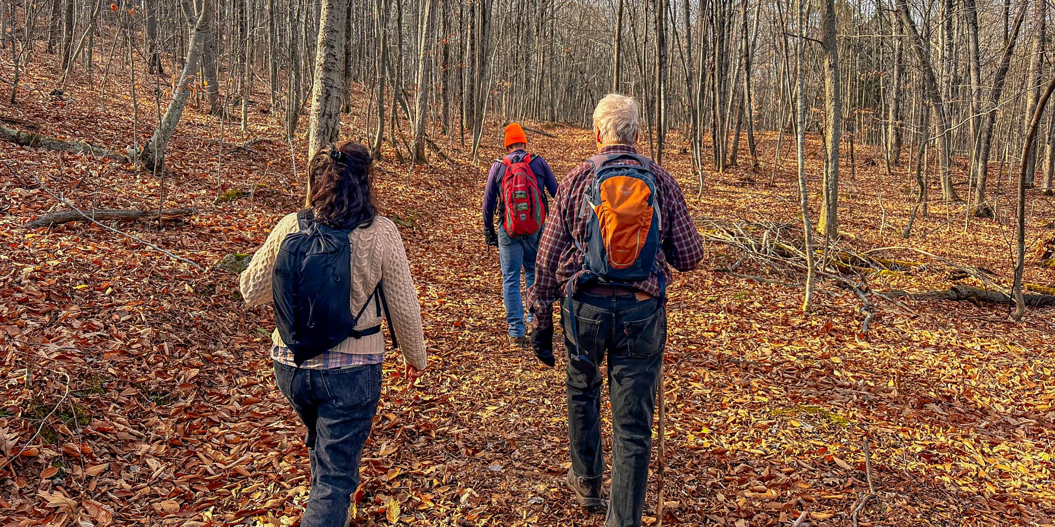 People walking on a trail at Twin Valleys.