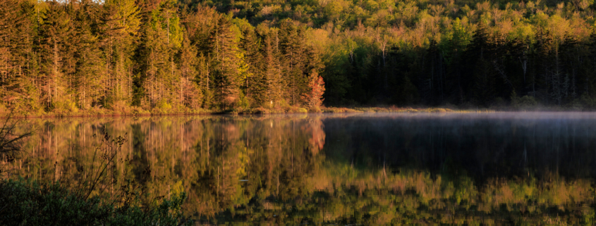 Pond at Spruce Ridge Wilderness Preserve