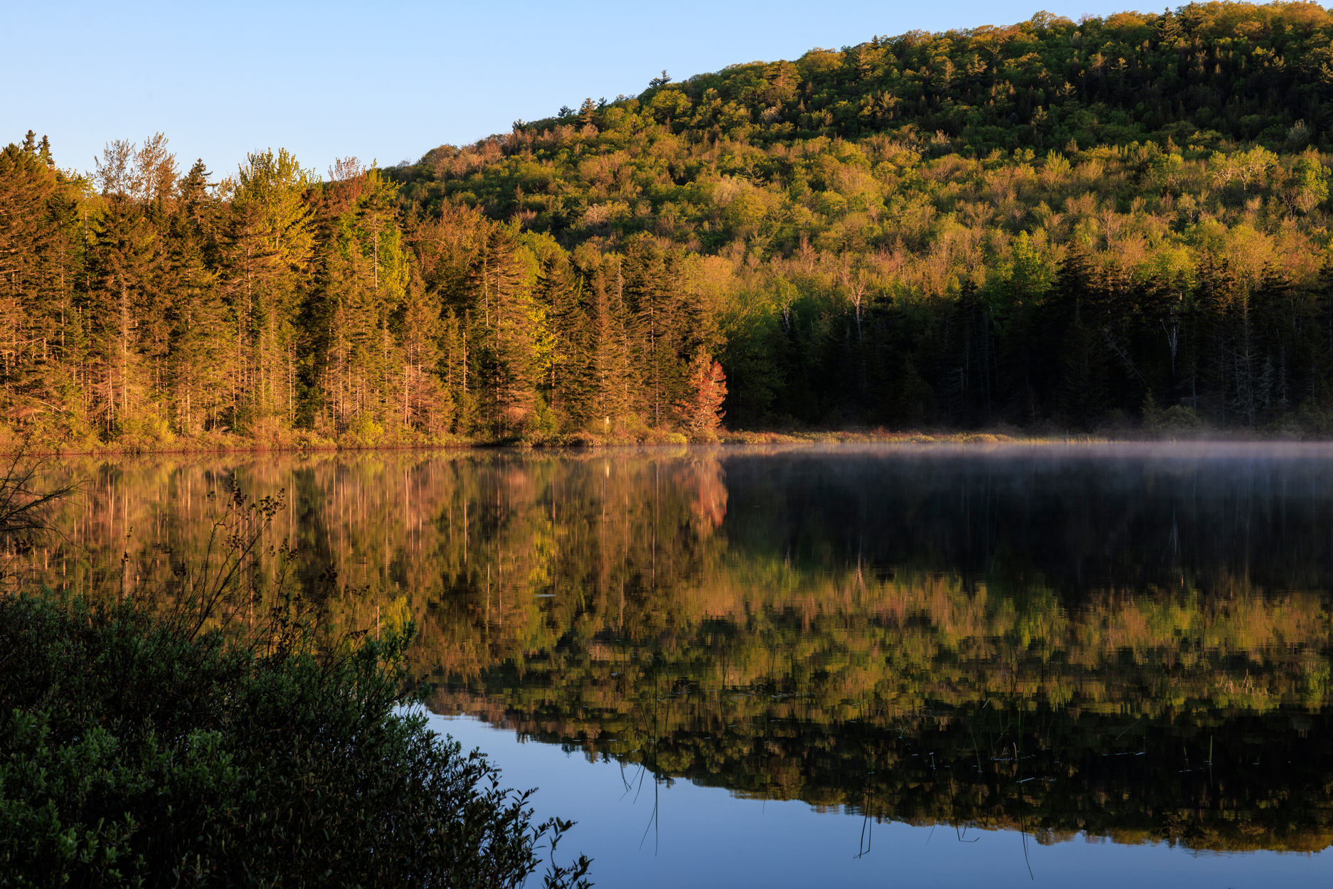 Pond at Spruce Ridge Wilderness Preserve