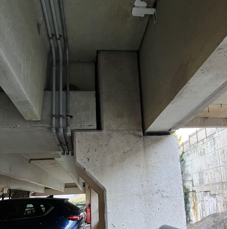 Bird's nest in a parking garage