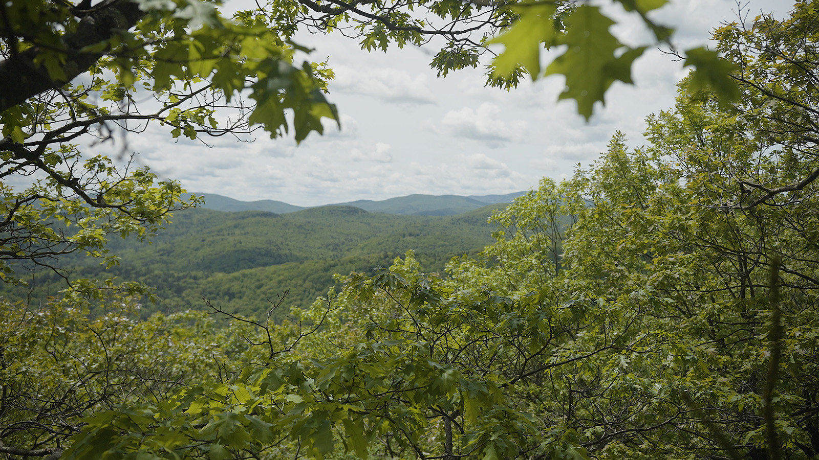 view of College Hill