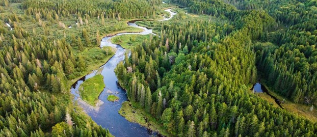 Historic Magalloway Collaborative Conserves 78,000 Acres in Western Maine