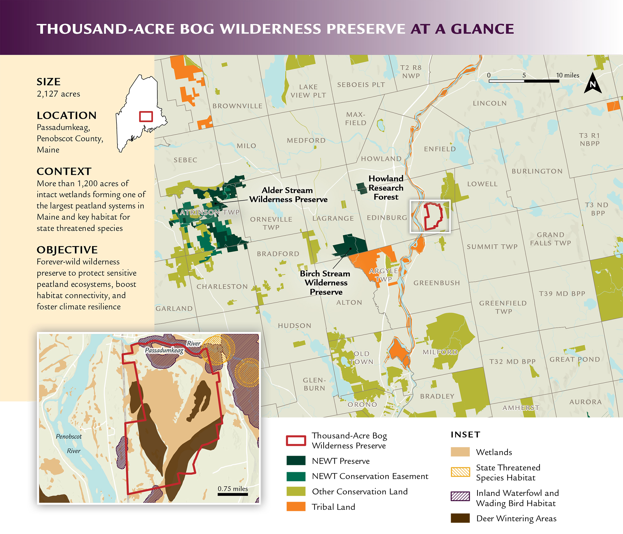 Map of Thousand Acre Bog in Maine.