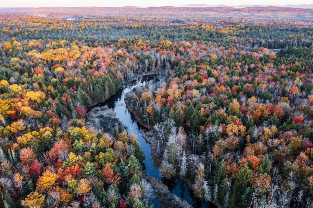 First Conservation Project in Maine