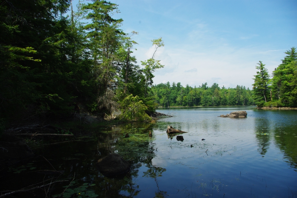 First Conservation Project in New Hampshire