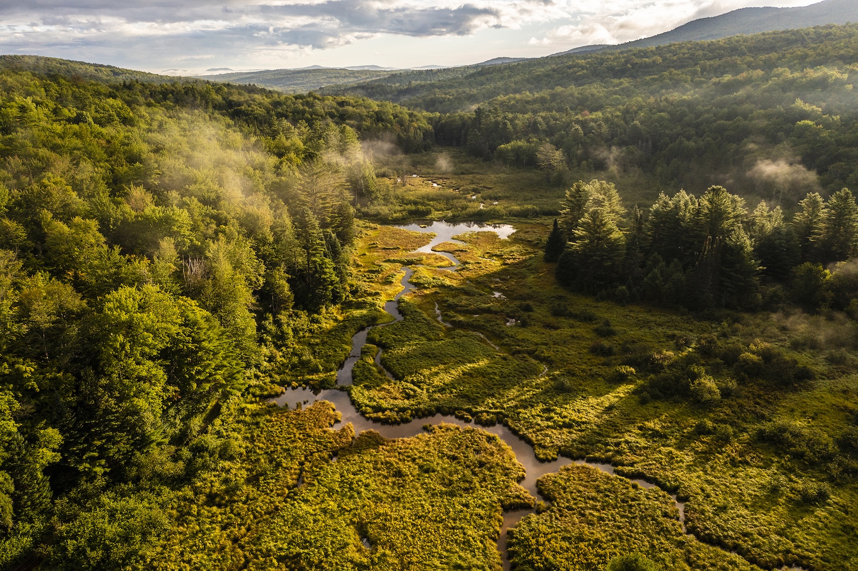 Woodbury_Monkman_Wetlands just north of Eagle Ledge - small